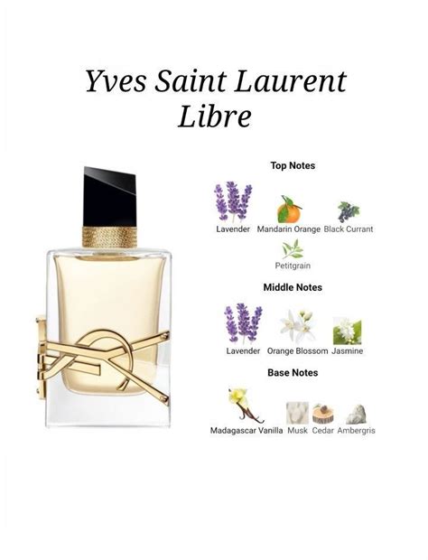 yves saint laurent libre stores|ysl libre scent notes.